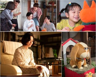  【ネタバレ】朝ドラ「半分、青い。」　