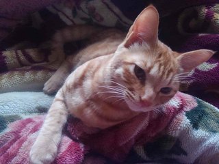 生活保護受給者です