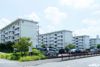 隣の芝生 ブログ