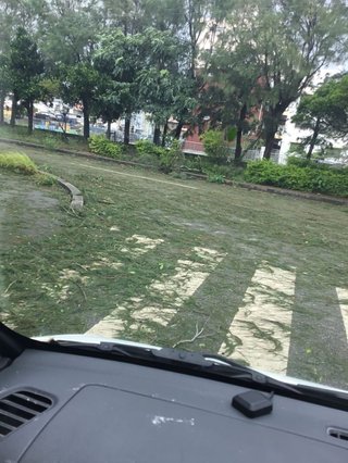 【総合】沖縄【作ったさ～】