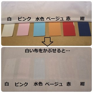 肌より薄い下着は透ける