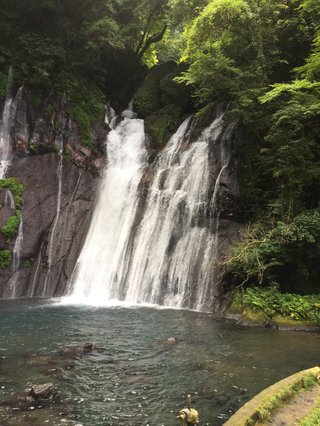 霊視ができる方に家の中を視てもらいたい