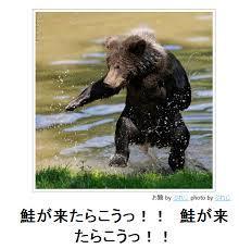 ボケて（bokete）見てる人！