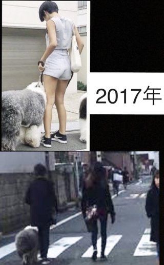 雑誌エルジャポンは修正モデルを起用