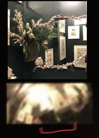 工藤静香インスタで便器を公開！kokiも使用