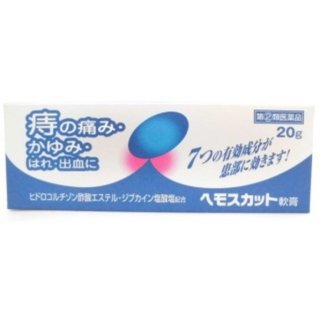 隣の芝生 ブログ