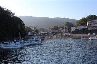 【静岡】韓国系企業が太陽光発電所の建設計画　「海洋汚染の原因になる」という反対の声も無視