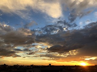 みんな、窓の外見てみて？何が見える？主の家からは東京タワーが見えるよ