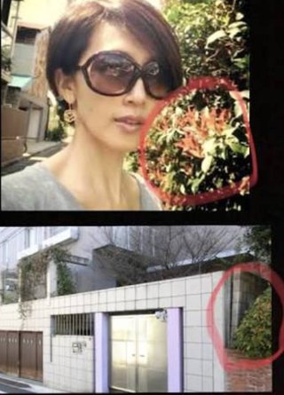 工藤静香が実家トイレを公開。やはり別居か