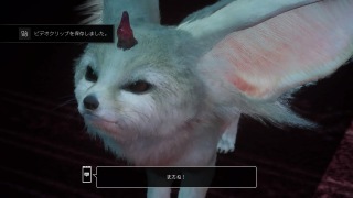 みんなー似てると言われたことのある人物とか動物の画像貼って！