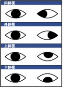 サンデージャポン