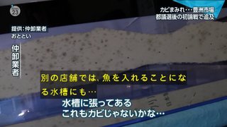 豊洲市場が2年遅れで開場