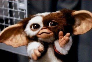 みんなー似てると言われたことのある人物とか動物の画像貼って！