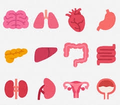 中国「臓器狩り」の証拠を弾圧下のウイグル自治区で発見