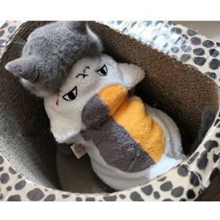 これめっちゃ可愛くない？