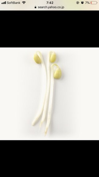 みんなー似てると言われたことのある人物とか動物の画像貼って！