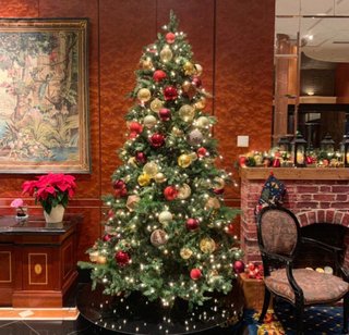 小林麻耶【麻耶☆道】