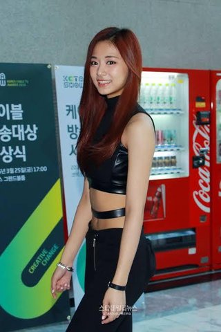 TWICEのサナって子日本人なんだね。めっちゃ可愛い。