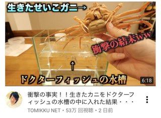 トミックっていうYouTuberが最近おかしい