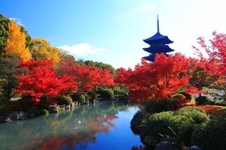 松居一代  IDアリ 多少のトピずれ・自分語りOK・人生いろいろ