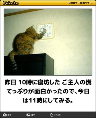 ボケて（bokete）見てる人！