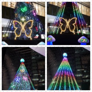 小林麻耶【麻耶☆道】