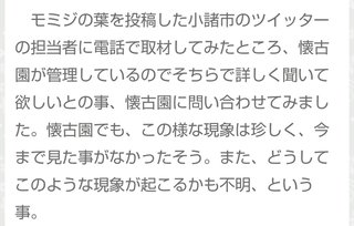海老蔵～何でもあり