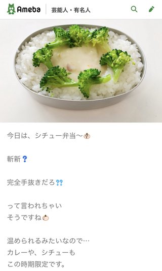 hitomiのシチュー弁当