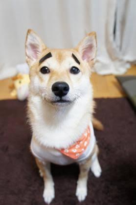 【テラスハウス】男女6人観察バラエティー  