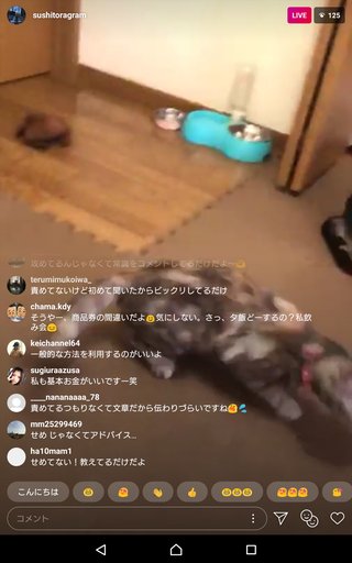 いしだ壱成の嫁 飯村貴子