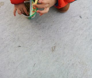 まったり】まなたん☆深たんと優しいお仲間さん達がワイワイするトピ【雑談