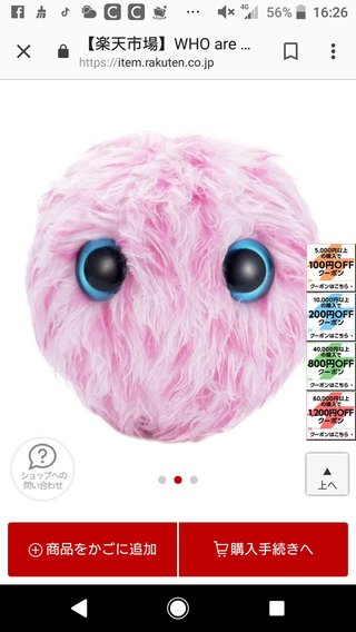 毛玉を洗うおもちゃがどこも品切れ。