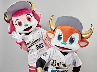 薮内俊は神戸ルミナリエで何を想うのか。