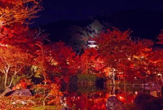 海老蔵～何でもあり