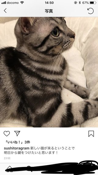 いしだ壱成の嫁 飯村貴子