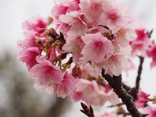 沖縄に移住したら人生変わるかな？