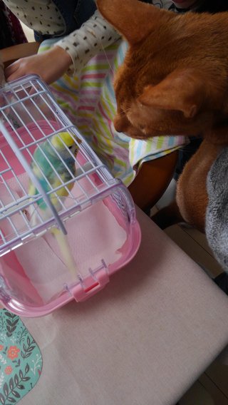 &#x{11:F8E2};なんでもいｰから&#x{11:F8E2};