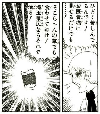 『翔んで埼玉』っていう映画の予告編見たんだけど埼玉馬鹿にしすぎで腹立つ