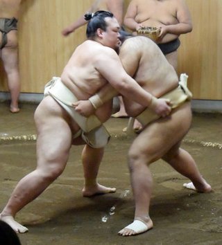 【相撲】八角理事長「稀勢の里は、故障しても仕方がないぐらいの覚悟でやってほしい」