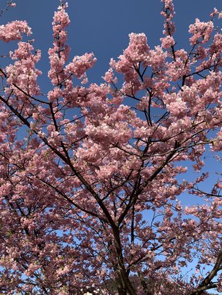 &#x{11:F8E2};なんでもいｰから&#x{11:F8E2};