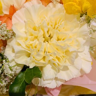 小林麻耶【麻耶☆道】