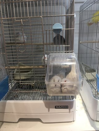 &#x{11:F8E2};なんでもいｰから&#x{11:F8E2};