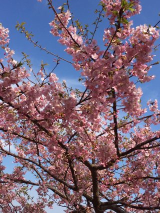 &#x{11:F8E2};なんでもいｰから&#x{11:F8E2};