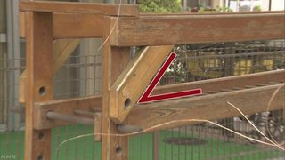 保育所や公園などのブランコや滑り台などで遊ぶ子どもがけがをしたり、命を落としたりする事故