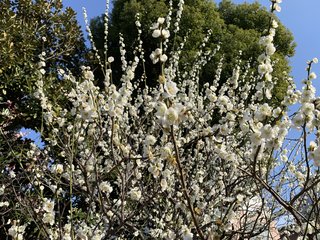 &#x{11:F8E2};なんでもいｰから&#x{11:F8E2};