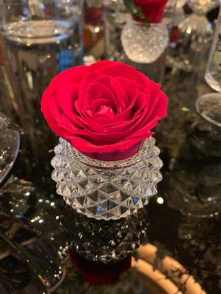 小林麻耶【麻耶☆道】