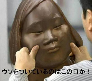 韓国軍が自衛隊に火器管制レーダー照射　岩屋防衛相が非難「攻撃直前の行為」