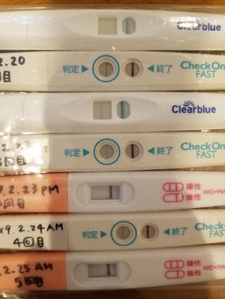 化学流産？(ToT)