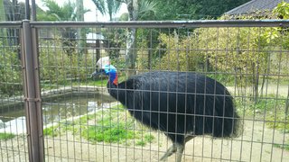 &#x{11:F8E2};なんでもいｰから&#x{11:F8E2};