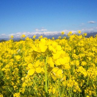 海老蔵～何でもあり